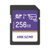 HS-SD-P10/256G/GUARDPRO