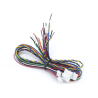 Juego de cables de conexion para Biostation 2