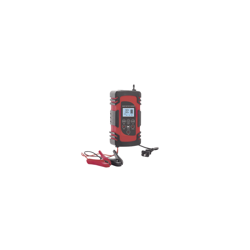 Cargador de Baterías / 12 o 24 Vcc / hasta 40 Ah / 2, 4 o 6 A / Display LCD