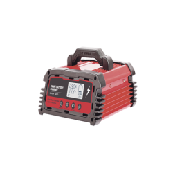 Cargador de Baterías / 12 o 24 Vcc / hasta 250 Ah / 25 A / Display LCD 