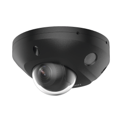 DS-2CD2543G2-LIS2U(BLACK)