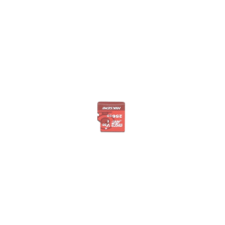 Memoria microSD / Clase 10 de 256 GB / Especializada Para Videovigilancia (Uso 24/7) / Compatibles con cámaras HIKVISION y Otras Marcas / 95 MB/s Lectura / 55 MB/s Escritura