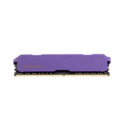Modulo de Memoria RAM color Morada 16 GB / 3200 MHz / Para Equipo de Rack o Escritorio / UDIMM 