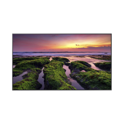 Pantalla Profesional LED de 75", UHD 4K (3840x2160p), Entradas de Video HDM, Bocinas Integradas de 10 W. Compatible VESA / compatible con Magic Info