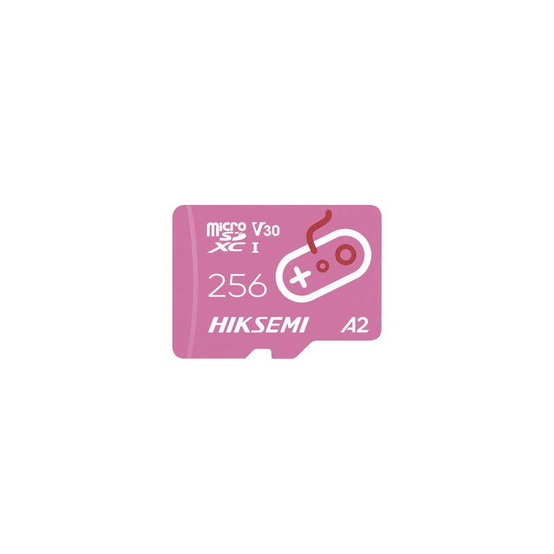 Memoria Micro SD / Enfocado para Consolas de Videojuegos (Gaming) / 256 GB / Lectura 170 MB/s / Escritura 90 MB/s