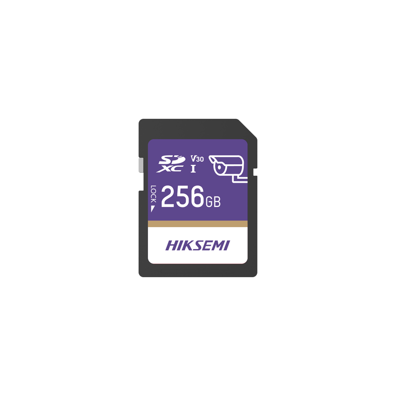 Memoria SD Clase 10 de 256 GB / Especializada Para Videovigilancia